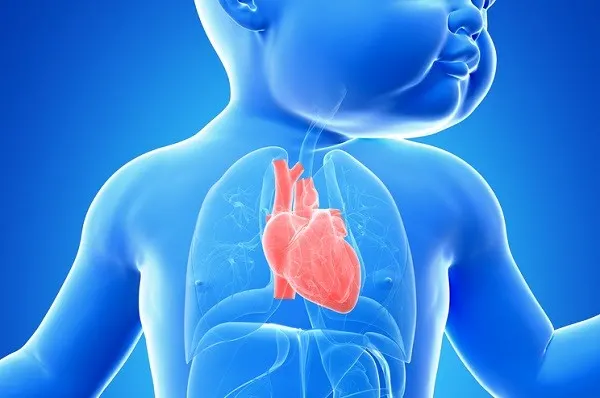 Cardiopatía Congénita en Niños Dr. Benjo Gareca Villarpando Cirujano Cardiovascular Cochabamba