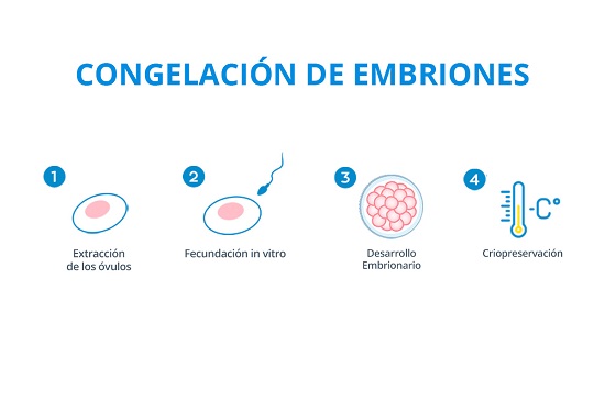 Congelación de Embriones y Óvulos Dr. Edwin D. Trujillo C. Ginecólogo Obstetra La Paz