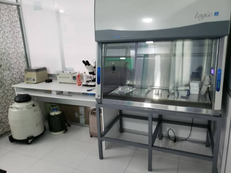 Imagen Dr. Edwin D. Trujillo C. Ginecólogo Obstetra La Paz