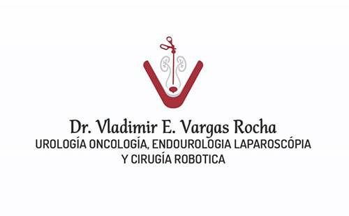 Logo Dr. Vladimir E. Vargas Rocha – Urólogo en cochabamba