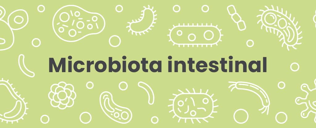 Microbiota Intestinal Dra. María Elena Mercado Estrada Cochabamba