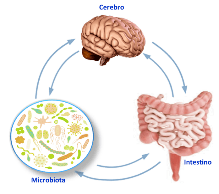 Microbiota Intestinal Dra. María Elena Mercado Estrada Cochabamba