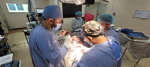 Neurocirugía Vascular Dr. Sergio Rocabado Neurocirujano Cochabamba