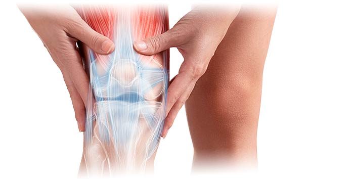 Tendinitis Rotuliana Dr. Arnold Vergara Montan Traumatólogo Cochabamba