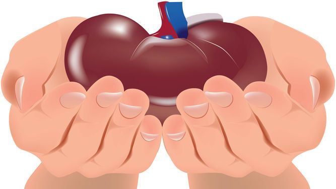 Trasplante Renal - Dr. Israel Rivas Nefrologo Cochabamba