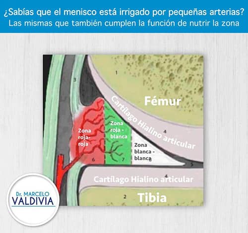 imagen2 - Dr. Marcelo Valdivia Loza - Traumatólogo Ortopedista en cochabamba